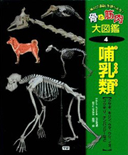 骨と筋肉大図鑑 4 哺乳類 体と運動を調べよう